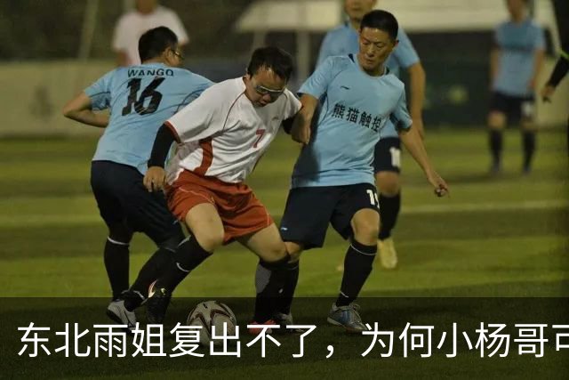 东北雨姐复出不了，为何小杨哥可以？因为他背后有卢文庆