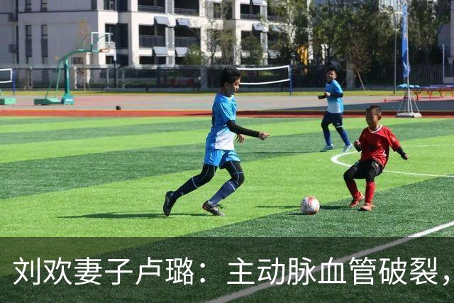 刘欢妻子卢璐：主动脉血管破裂，命悬一线，刘欢的选择让人泪目