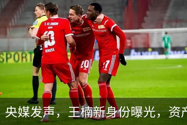 央媒发声，王楠新身份曝光，资产查封被带走调查传闻背后另有隐情