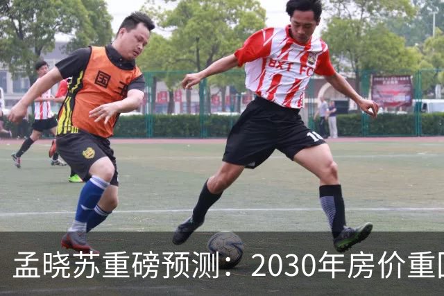 孟晓苏重磅预测：2030年房价重回前高没有悬念