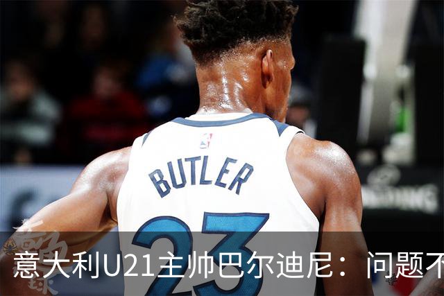 意大利U21主帅巴尔迪尼：问题不在年轻球员，在管理层