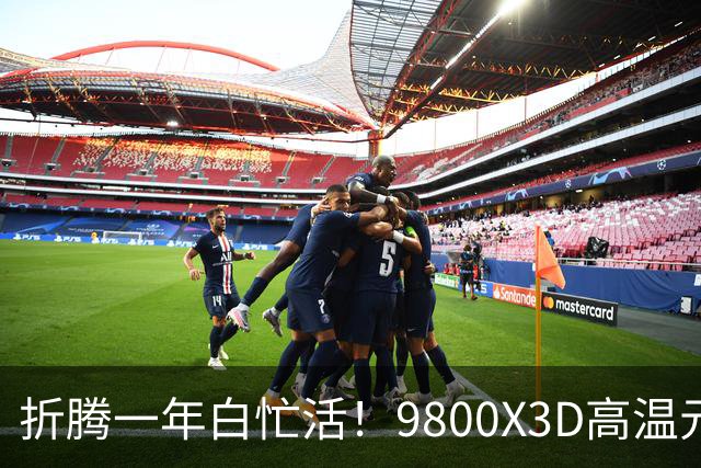 折腾一年白忙活！9800X3D高温元凶竟是BIOS：更新后从95℃直降9℃