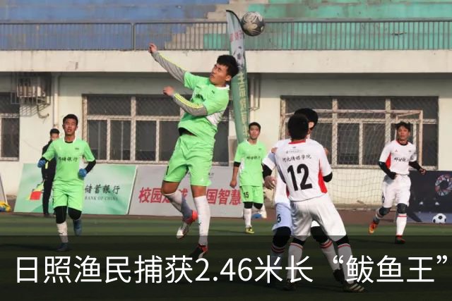 日照渔民捕获2.46米长“鲅鱼王”，重达268斤，当地一水饺厂老板花数万元买下：原想做成鲅鱼水饺，改了主意想把它做成标本