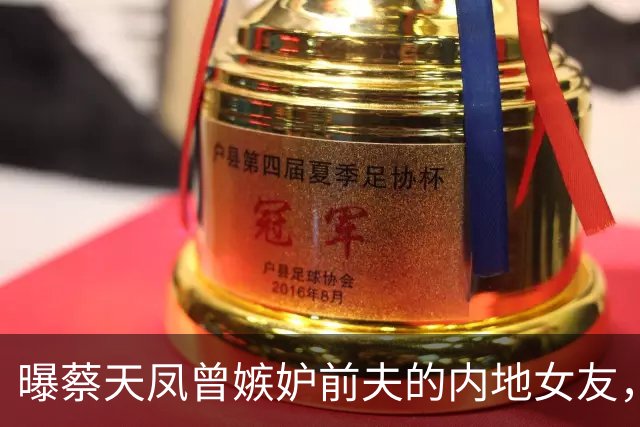 曝蔡天凤曾嫉妒前夫的内地女友，央求他返港，现任和前夫关系密切