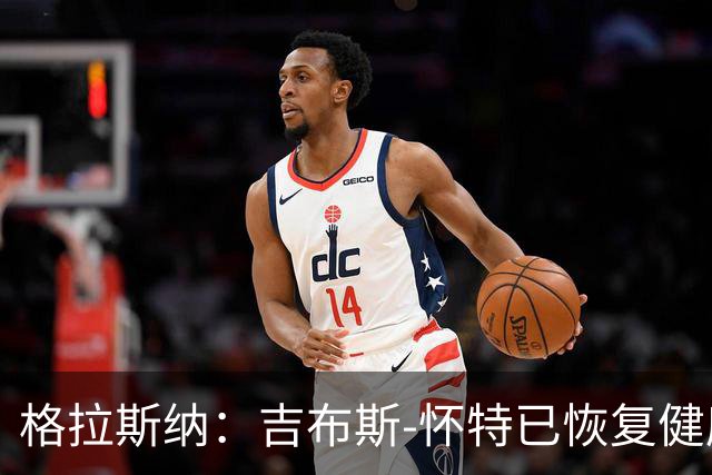 格拉斯纳：吉布斯-怀特已恢复健康，米伦科维奇也能首发