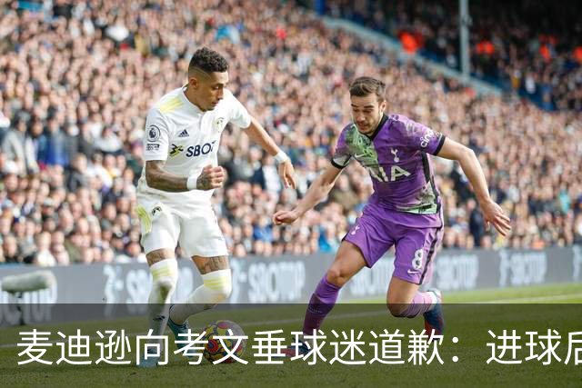 麦迪逊向考文垂球迷道歉：进球后亲吻热刺队徽时机不对